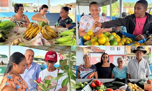 Ibirataia: Feira da Agricultura Familiar celebrou sua 20ª Edição no Distrito de Algodão