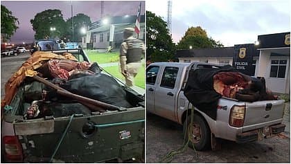 Ex-policial e comparsa são presos por roubar gado para retirar carne na Bahia