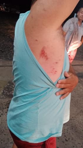 Quadrilha ataca motoristas na BR-101 entre Gandu e Ubaitaba
