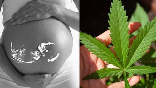 Jovens brasileiros apoiam mais a legalização do aborto do que da maconha, aponta pesquisa