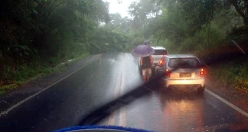 Árvore cai na BR-330 e interdita parcialmente trecho da rodovia entre Jitaúna e Jequié