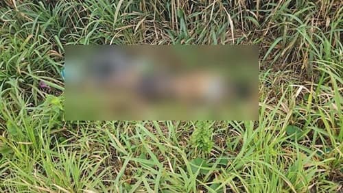 Ibirataia: Corpo de homem com marcas de tiro é encontrado próximo ao lixão do município