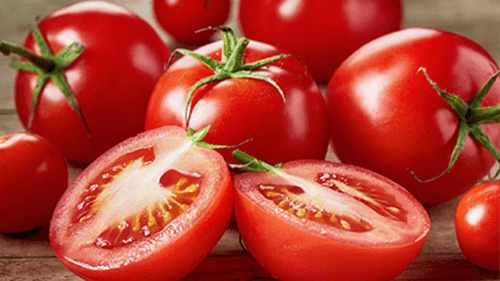 Os benefícios do tomate para a saúde