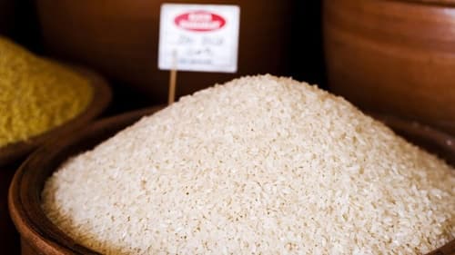 Conab e arrozeiros travam embate sobre produção e preço do grão