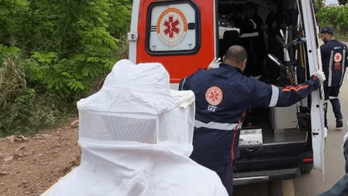 Idoso de 89 anos é atacado por abelhas enquanto trabalhava em fazenda na Bahia