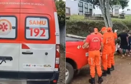 Ataque de Abelhas Durante Sepultamento em Ilhéus