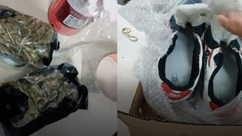 Cinco quilos de drogas apreendidos em operação da SSP-BA