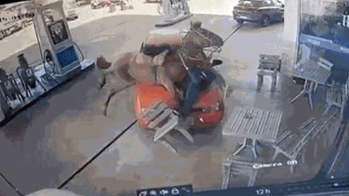 Motorista invade posto de gasolina, atropela cavalo e esfaqueia homem