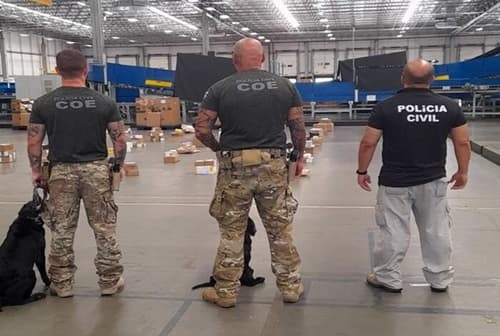 Polícia apreende cogumelos alucinógenos em operação nos Correios