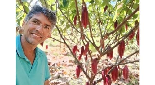 Cacau da Bahia busca reconhecimento Global no Concurso Cacao of Excellence