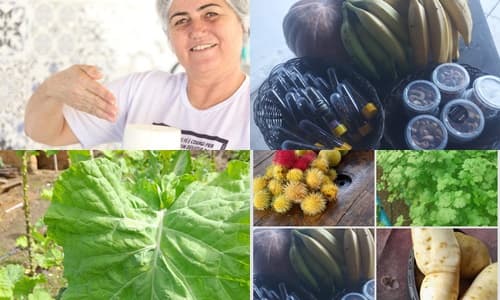 Ibirataia: Prefeitura realiza 1ª Feira da Agricultura Familiar nesta quinta-feira, 20