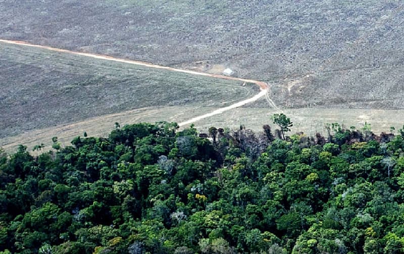 Alemanha anuncia mais de R$ 1 bilhão para ações ambientais no Brasil