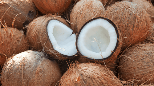 Os benefícios do coco: Uma fonte natural de saúde