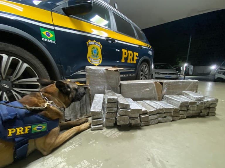 PRF apreende tabletes de maconha que seriam comercializados em cidade do interior da Bahia