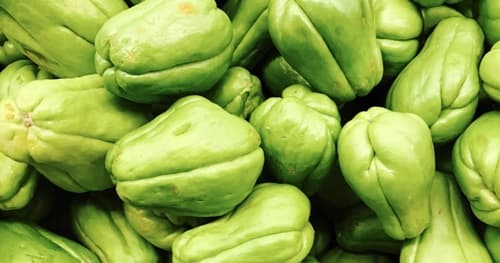 Benefícios do Chuchu para a Saúde: Um Legume Nutritivo e Versátil