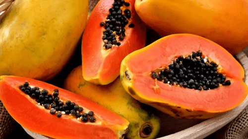 Mamão: Benefícios, cultivo e a popularidade da fruta tropical no Brasil