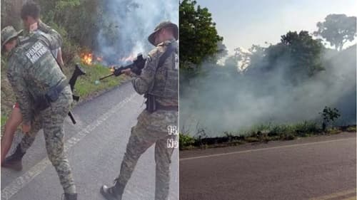 Homem é detido em Porto Seguro por tentativa de incêndio em área de vegetação