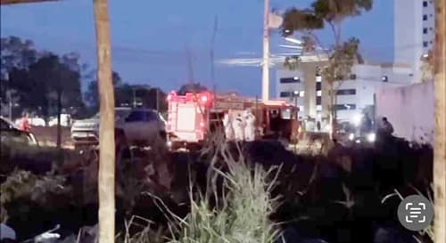 Pessoas abandonam veículos e fogem de ataque de marimbondos em Avenida