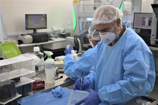 Novo sequenciamento genético identifica aumento da prevalência de circulação da P1 de 80 para 85% em todas as regiões da Bahia