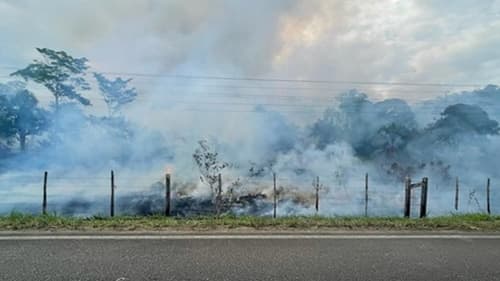 Incêndio de grandes proporções atinge vegetação às margens da BA-650, entre Ipiaú e Ibirataia