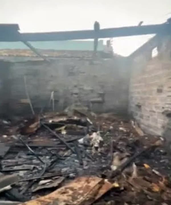 Homem tenta colocar fogo em colmeia de abelhas e destrói a casa inteira de morada