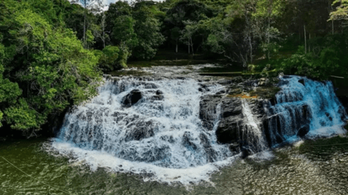 Mulher é internada em estado grave após picada de cobra na Cachoeira do Tijuipe