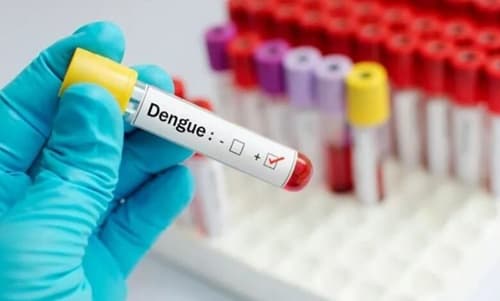 Dengue: sobe para 14 o número de mortes; vítimas de SAJ e Santo Estêvão