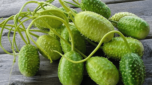 Os Benefícios do Maxixe: Um superalimento verde que você deve conhecer