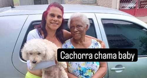 Ibirataia: Moradores buscam por cachorrinha desaparecida