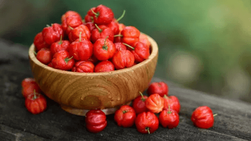 Acerola: Uma Fruta Poderosa para Fortalecer o Imunológico e Combater o Envelhecimento