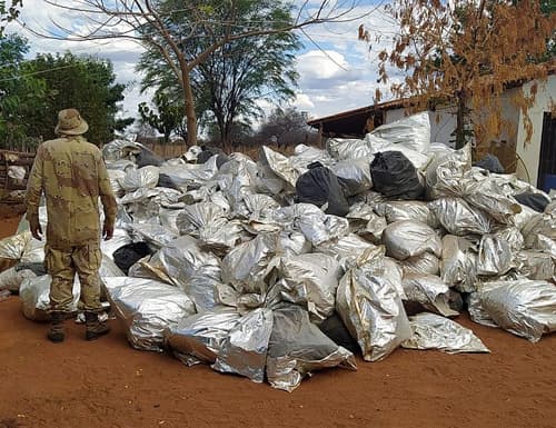 Mais de 8 toneladas de maconha são apreendidas no oeste da Bahia