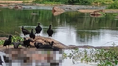 Corpo é Encontrado em Avançado Estado de Decomposição no Rio de Contas, Ibirapitanga