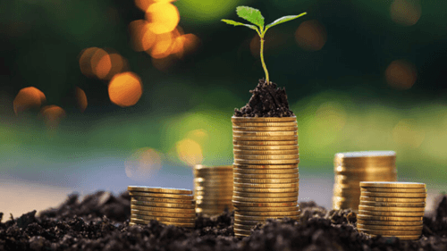 Qual é o valor ideal para investir por mês?
