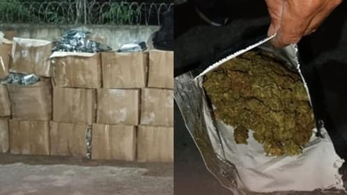 Polícia Militar apreende mais de 300 kg de maconha no interior da Bahia