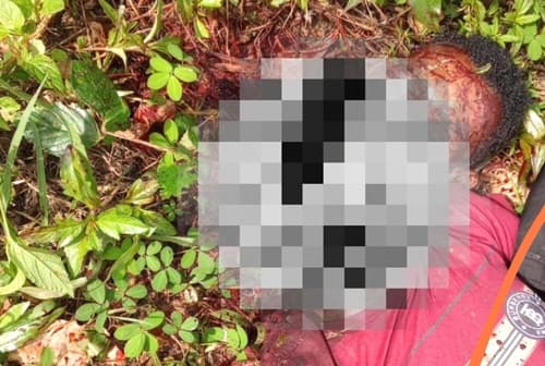 Morador de Ibirataia é encontrado decapitado em Piraí do Norte