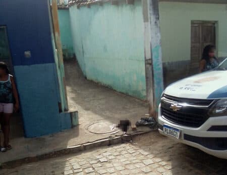 Cão é morto a pedradas na Rua da Banca em Ipiau