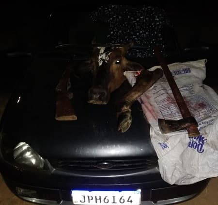 Ciganos são presos em flagrante por furtar e abater gado em Ibirataia
