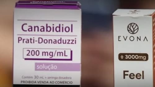 Canabidiol gratuito: Assembleia da Bahia aprova fornecimento de remédios à base da substância