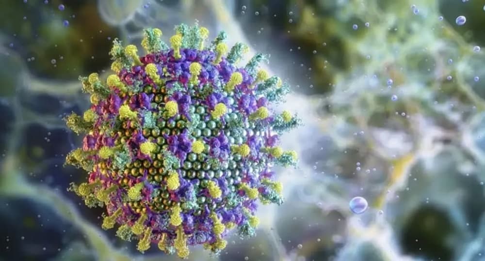 França registra primeiro caso humano do vírus Shamonda