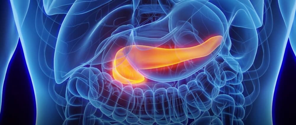 Vacina experimental contra câncer de pâncreas provoca resposta imunológica em 98,9% dos pacientes